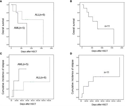 The outcome of acute leukemia patients with SET-NUP214 fusion after allogeneic stem cell transplantation